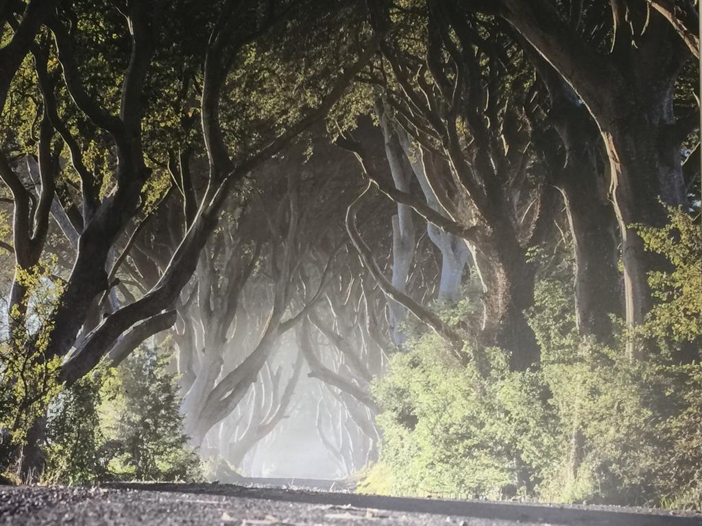 Dark Hedges Cottage Ballycastle Exterior photo